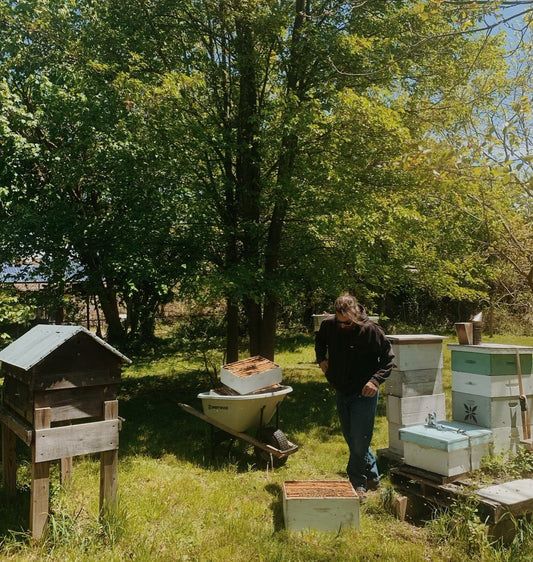 Get to Know Paul Buterick, the Beekeeper Behind MothFlower Apiary