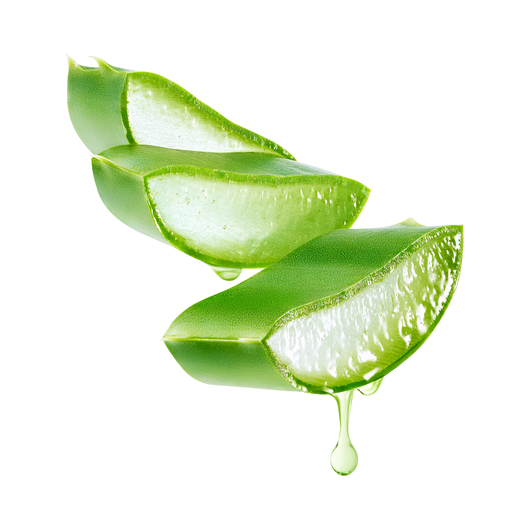 aloe products