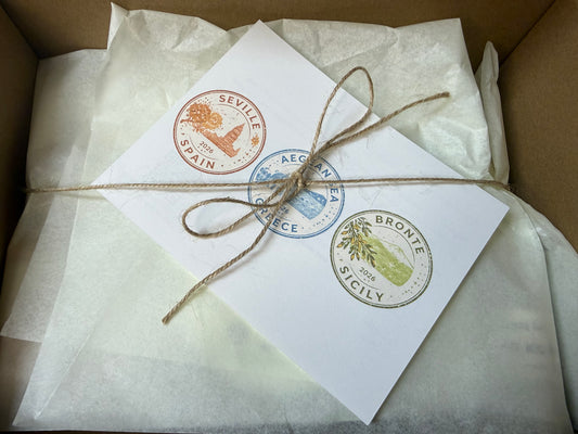 Summer Body Care Subscription Box