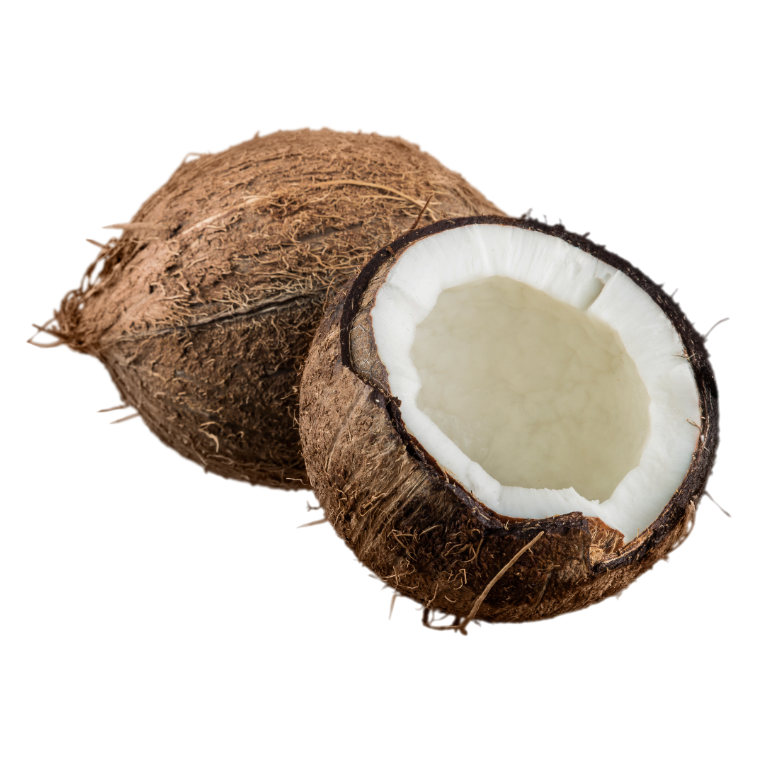 Featured Ingredient: Coconut Oil