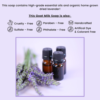 Lavender Handcrafted Goat Milk Soap Bar
