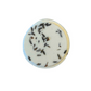 Lavender Shower Steamers | Aromatherapy for Stress Relief & Sleep