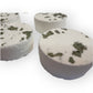 Eucalyptus Shower Steamers